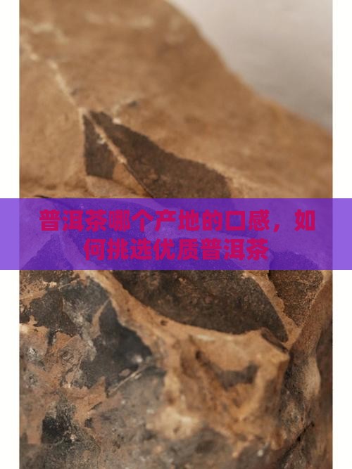 普洱茶哪个产地的口感，如何挑选优质普洱茶
