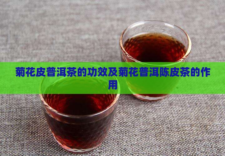 菊花皮普洱茶的功效及菊花普洱陈皮茶的作用