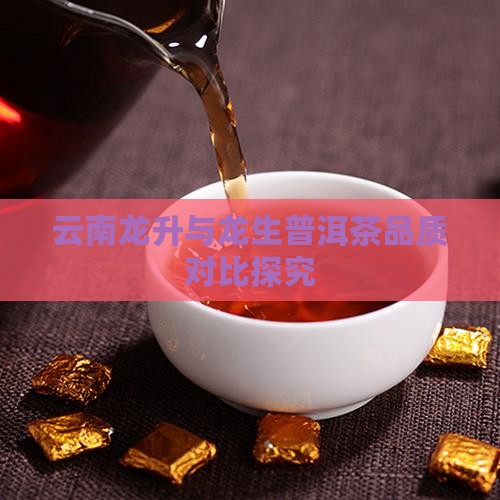 云南龙升与龙生普洱茶品质对比探究