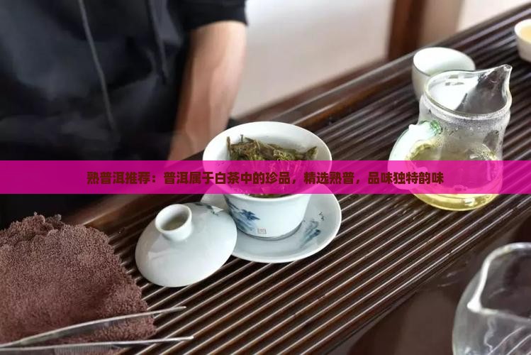 熟普洱推荐：普洱属于白茶中的珍品，精选熟普，品味独特韵味