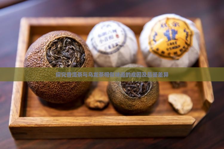 探究普洱茶与乌龙茶相似味道的成因及品鉴差异