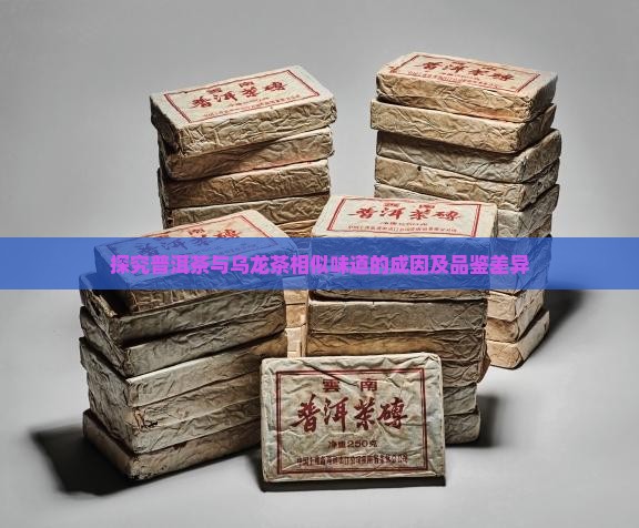 探究普洱茶与乌龙茶相似味道的成因及品鉴差异