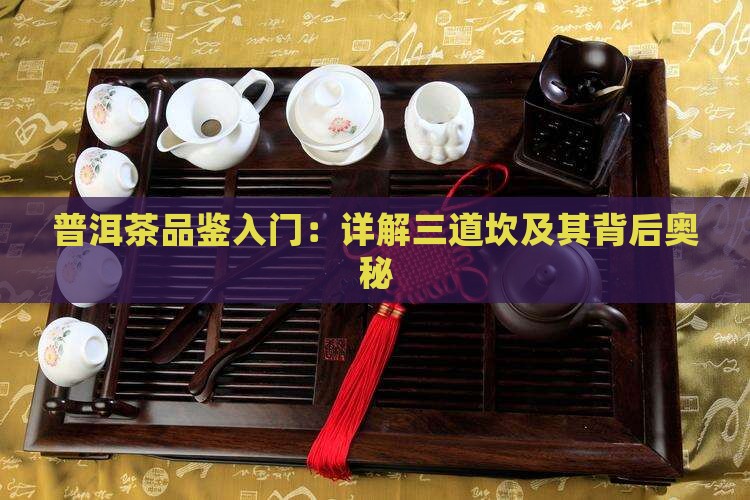 普洱茶品鉴入门：详解三道坎及其背后奥秘