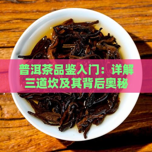 普洱茶品鉴入门：详解三道坎及其背后奥秘