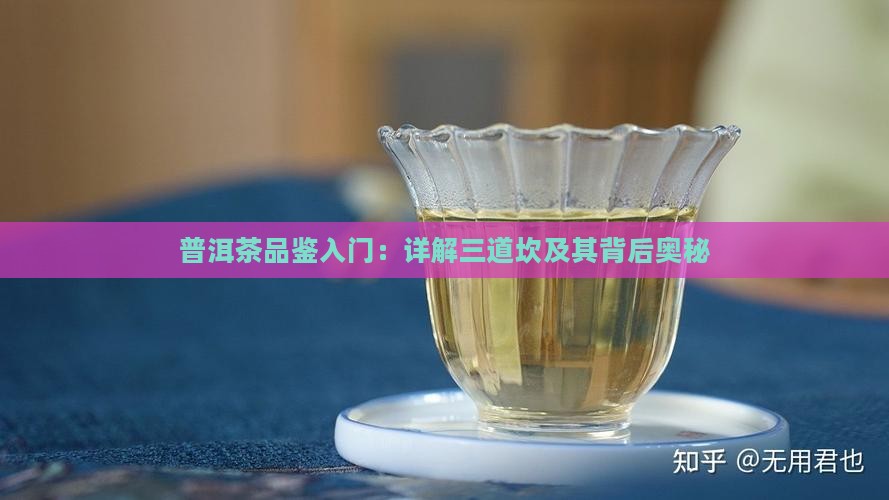普洱茶品鉴入门：详解三道坎及其背后奥秘