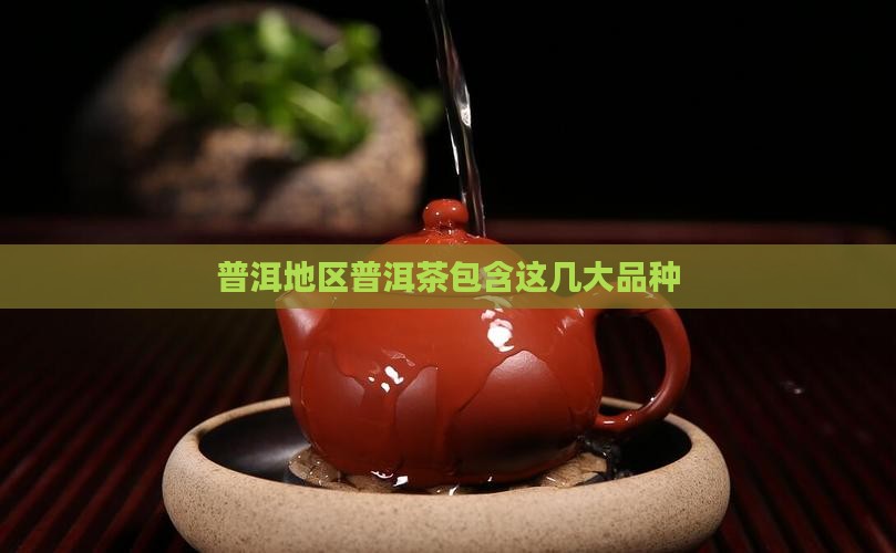 普洱地区普洱茶包含这几大品种