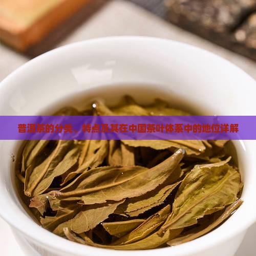 普洱茶的分类、特点及其在中国茶叶体系中的地位详解
