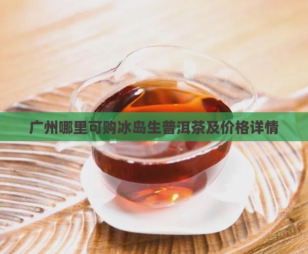 广州哪里可购冰岛生普洱茶及价格详情