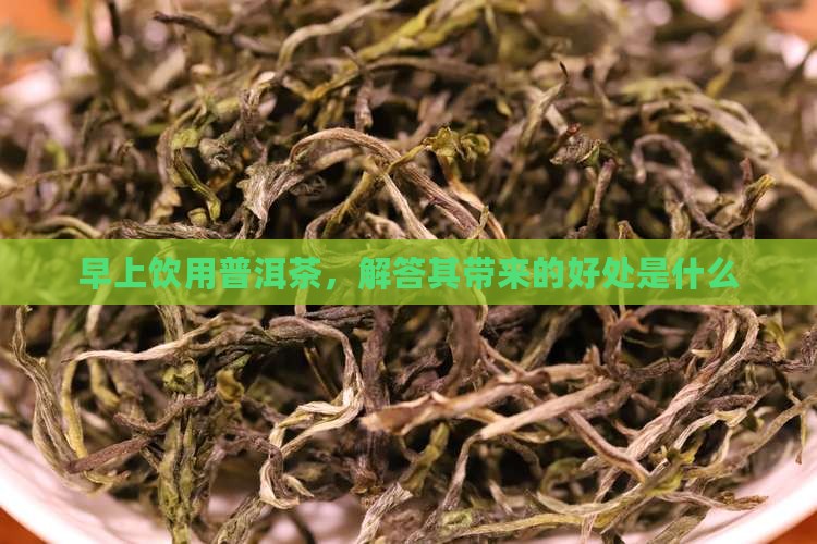 早上饮用普洱茶，解答其带来的好处是什么
