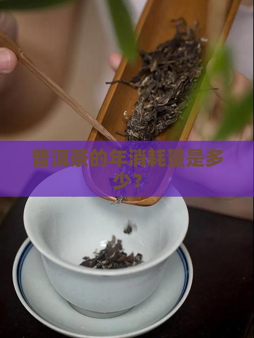普洱茶的年消耗量是多少？