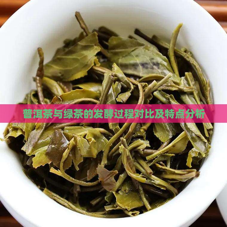 普洱茶与绿茶的发酵过程对比及特点分析