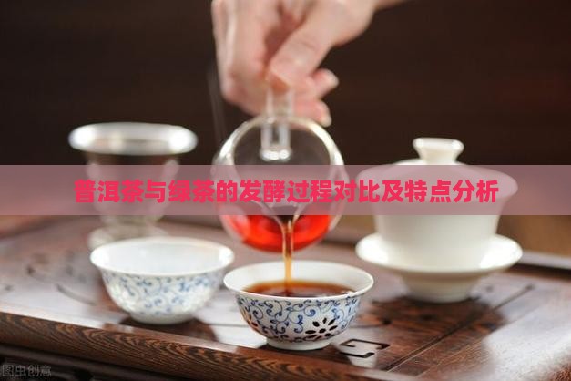 普洱茶与绿茶的发酵过程对比及特点分析