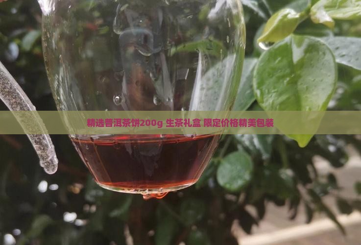 精选普洱茶饼200g 生茶礼盒 限定价格精美包装