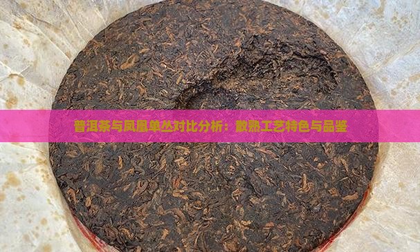 普洱茶与凤凰单丛对比分析：散熟工艺特色与品鉴