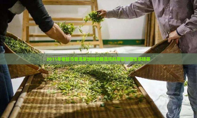 2011年老赶马普洱茶饼特级臻品纯料厚实甘甜生茶砖茶