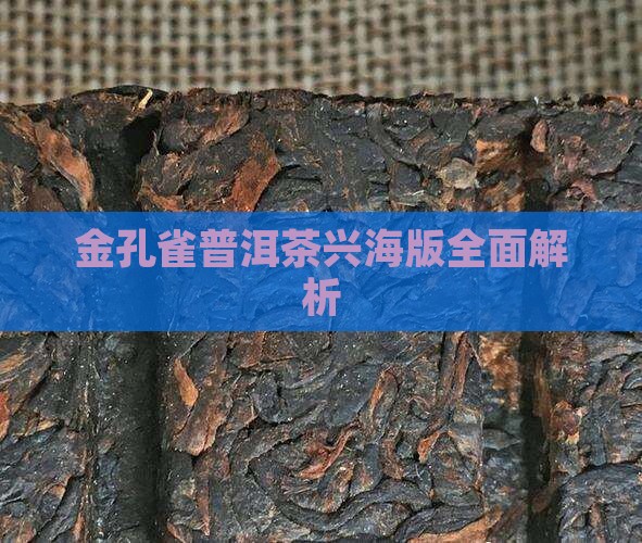 金孔雀普洱茶兴海版全面解析