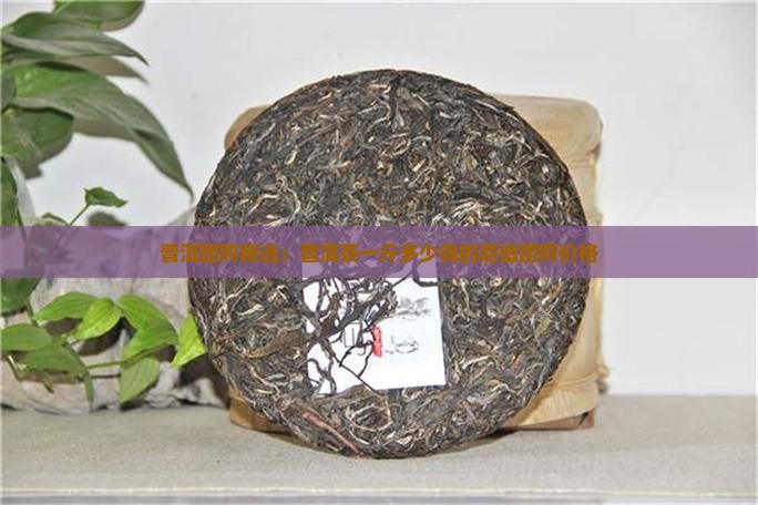 普洱团购精选：普洱茶一斤多少钱的超值团购价格