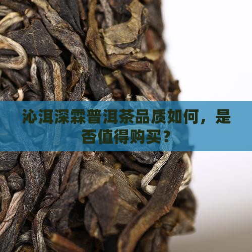 沁洱深霖普洱茶品质如何，是否值得购买？