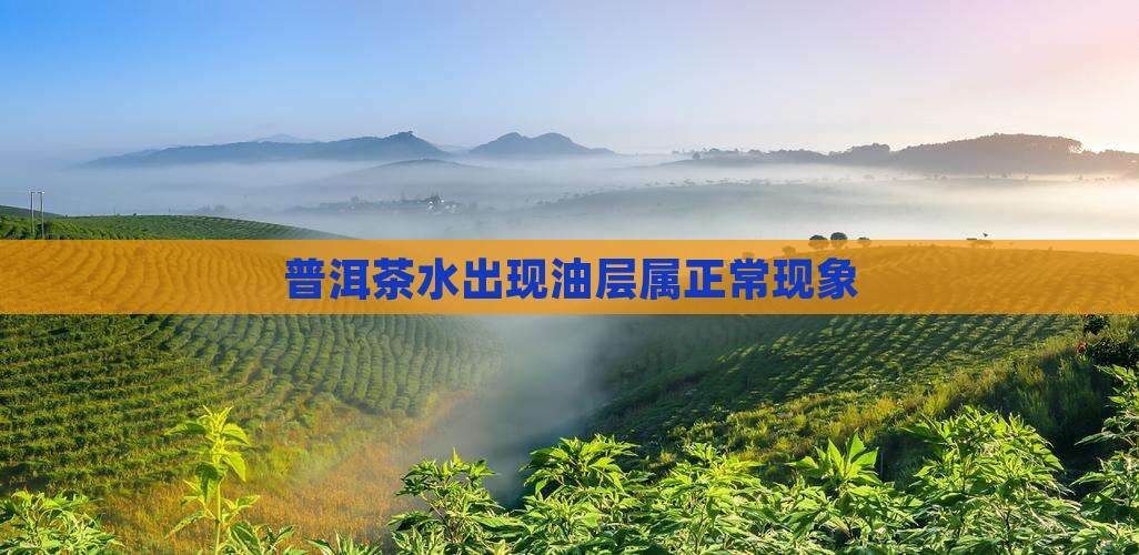 普洱茶水出现油层属正常现象