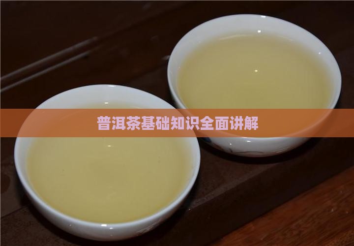 普洱茶基础知识全面讲解