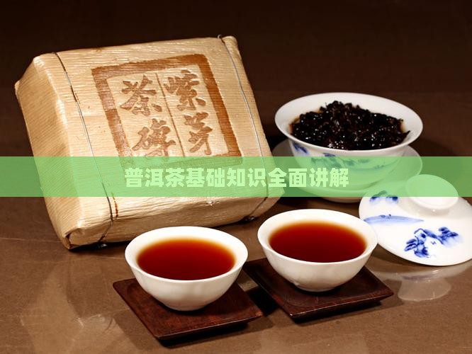 普洱茶基础知识全面讲解