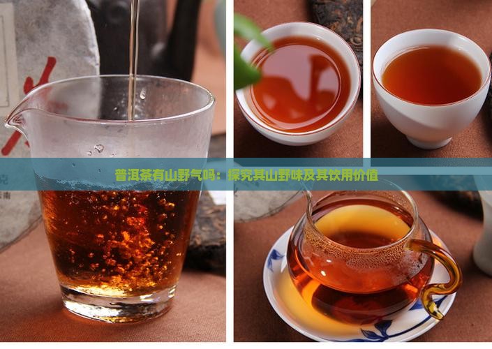 普洱茶有山野气吗：探究其山野味及其饮用价值