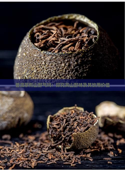 普洱茶有山野气吗：探究其山野味及其饮用价值