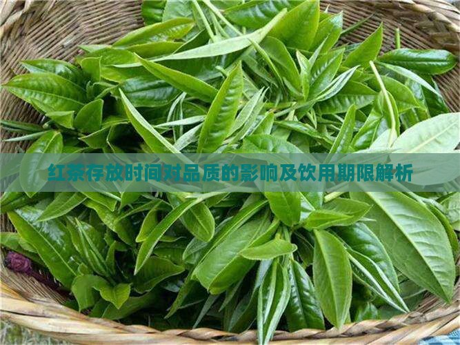 红茶存放时间对品质的影响及饮用期限解析