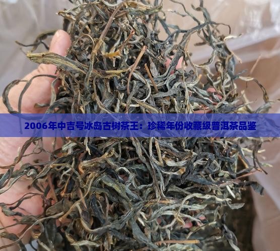 2006年中吉号冰岛古树茶王：珍稀年份收藏级普洱茶品鉴