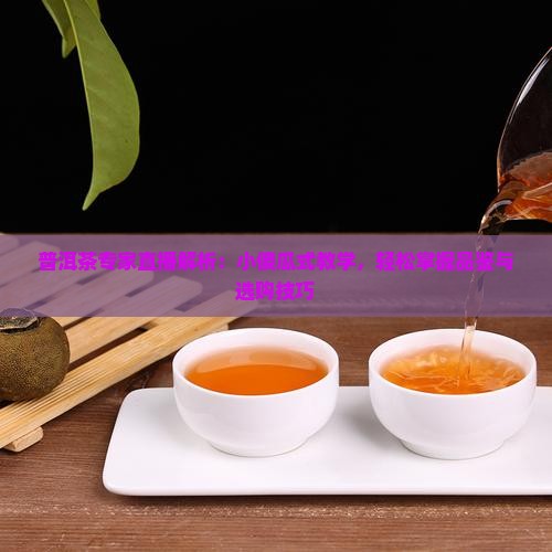 普洱茶专家直播解析：小傻瓜式教学，轻松掌握品鉴与选购技巧