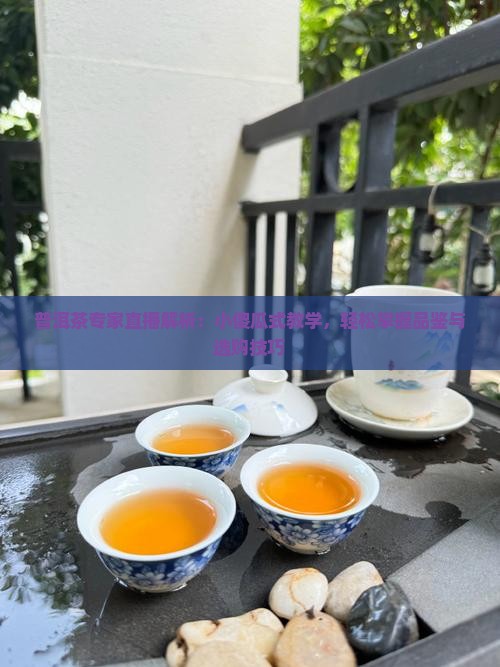 普洱茶专家直播解析：小傻瓜式教学，轻松掌握品鉴与选购技巧