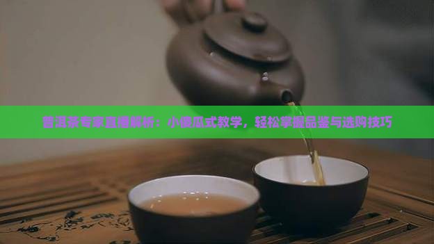普洱茶专家直播解析：小傻瓜式教学，轻松掌握品鉴与选购技巧