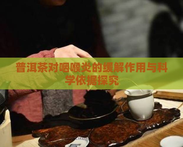 普洱茶对咽喉炎的缓解作用与科学依据探究