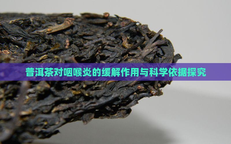 普洱茶对咽喉炎的缓解作用与科学依据探究