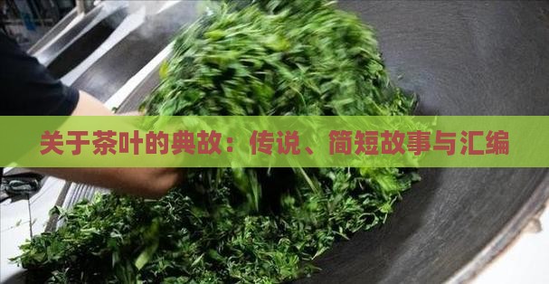 关于茶叶的典故：传说、简短故事与汇编