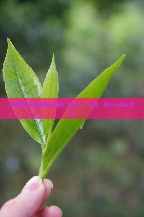 普洱茶有必要用茶滤吗？盖盖子、目数、茶水分离全解析