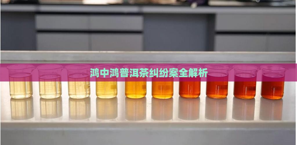鸿中鸿普洱茶纠纷案全解析