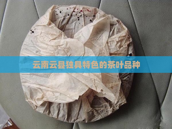 云南云县独具特色的茶叶品种