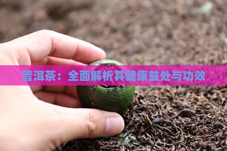 普洱茶：全面解析其健康益处与功效