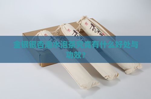 金银银杏泡水泡茶究竟有什么好处与功效？