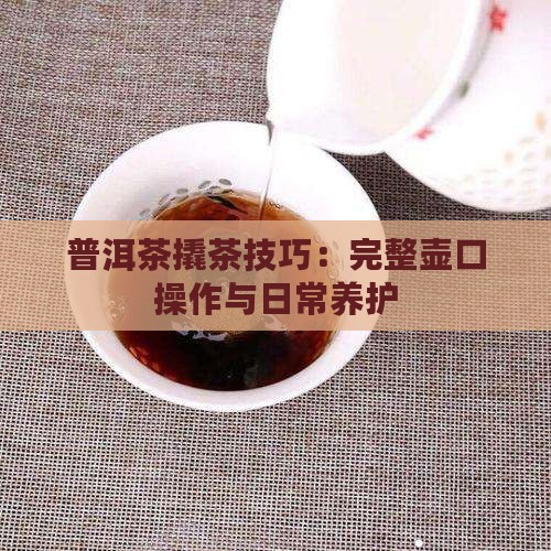 普洱茶撬茶技巧：完整壶口操作与日常养护