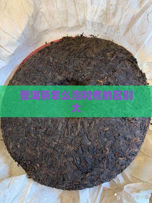 普洱茶怎么泡和煮的区别大