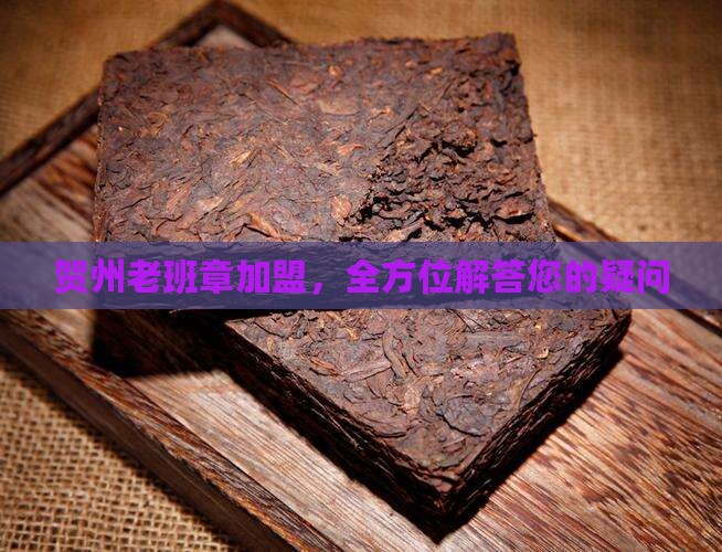贺州老班章加盟，全方位解答您的疑问