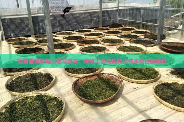 云南普洱茶加工证号含义：传统工艺与现代化技术结合的精髓