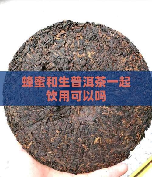 蜂蜜和生普洱茶一起饮用可以吗