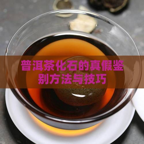 普洱茶化石的真假鉴别方法与技巧