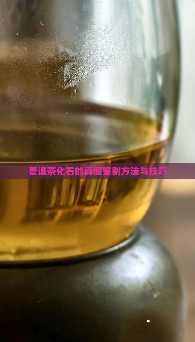 普洱茶化石的真假鉴别方法与技巧
