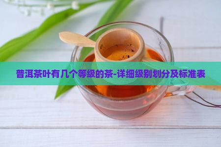 普洱茶叶有几个等级的茶-详细级别划分及标准表