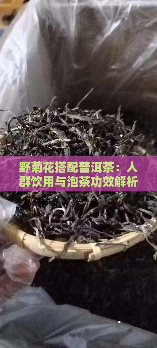 野菊花搭配普洱茶：人群饮用与泡茶功效解析
