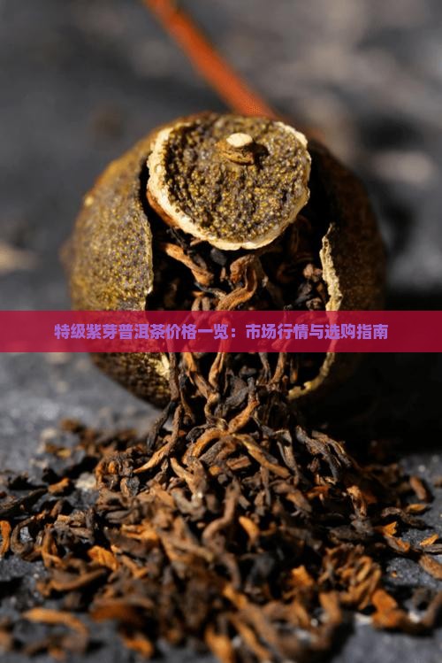 特级紫芽普洱茶价格一览：市场行情与选购指南